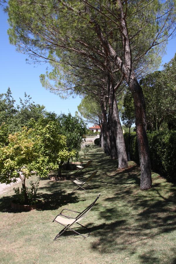 Villa Del Cardinale Spoleto Eksteriør billede
